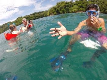 Dolphin & Whale Watching by Catamaran, Manuel Antonio, Costa Rica photo