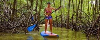 Paddle board tour, Manuel Antonio, Costa Rica
