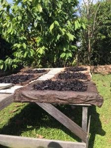 Vainilla and Chocolate Farm and taste, Manuel Antonio, Costa Rica photo