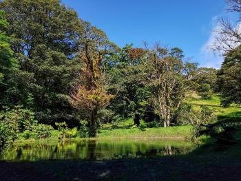 Natural History Tour, Monteverde, Costa Rica photo