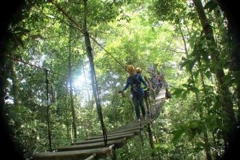 Canopy/Zipline, Monteverde, Costa Rica photo