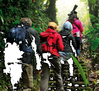 General Guided Walk, Monteverde, Costa Rica photo