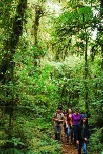 Caminata Guiada Privada, Monteverde, Costa Rica photo