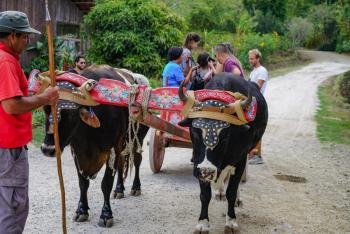 Coffee & Chocolate Tour, Monteverde, Costa Rica photo