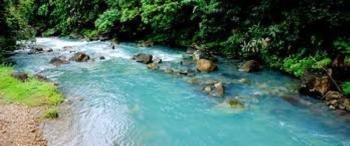 Río Celeste Hiking from Guanacaste, Costa Rica photo