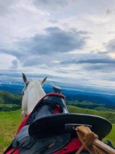 Horseback riding, Monteverde, Costa Rica photo