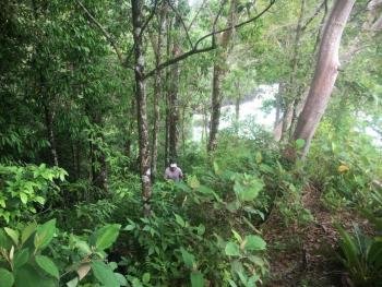 Manuel Antonio Extreme Hiking Tour, Costa Rica photo